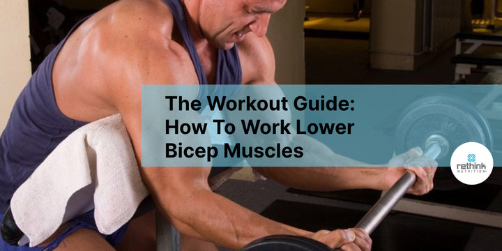 The Workout Guide: How To Work Lower Bicep Muscles