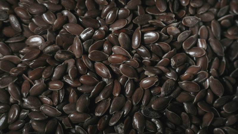 Dark chocolate pieces photographed in close-up