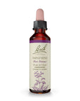 Bach | Impatiens (Calm & Patience Support) – 20 mL