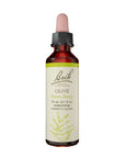 Bach | Olive (Energy & Burnout Support) – 20 mL
