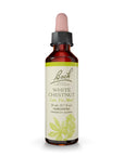 Bach | White Chestnut (Racing Thoughts Support) – 20 mL