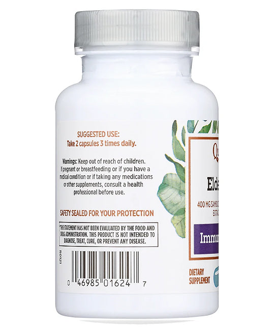 Quantum Health | Black Elderberry Capsules (Immune Support) – 60 ct