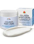 Reviva Labs | Collagen Night Crème (Overnight Hydration & Smoother-Looking Skin) – 1.5 oz